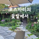 로즈마리숲 | [창원 동읍 예쁜 카페] 조용한 숲속의 로즈마리의 꽃밭에서 내돈내산 후기!
