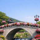 삼성천 Daum카페
