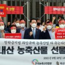 상향 이미지