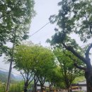 상의리 경로당 | 너무 좋아서 네번이나 방문한 청송 주왕산국립공원 후기