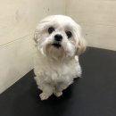 신흥로118번길 이미지