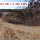 초곡리1 이미지