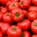 유어스핏 이미지