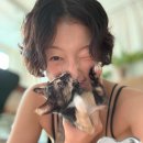 이엘 이미지