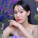 제이스트 이미지
