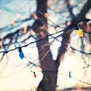 스킨패턴 이미지