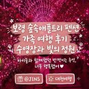 숲속애 애플트리 네이버블로그