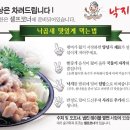 낙지마실 이미지