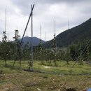 현서면사무소 이미지