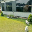 게으른오후 이미지