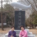 송어의꿈