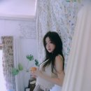 더에이치엔터 이미지