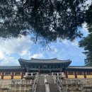 황금돼지동상 | 경주 여행 가볼만한곳 / 불국사 늦은 오후에 다녀온 후기