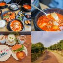 일품순두부본점 | 제주 일품순두부 본점만큼 줄서는 연북로점, 카페 플랜트 827 방문 후기