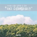 패밀리 동행 | 아이와 함께 대구 나들이 장소 추천 수성패밀리파크