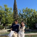 배그로브(BAE GROVE) | #6] LA 일일투어, 베버리힐즈 사인 + 폴스미스 핑크벽 + 파머스 마켓 + 더그로브 + 트레이더 조 쇼핑 후기