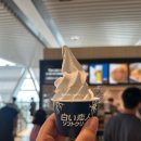 역물품보관소, 삿포로맥주박물관, 치토세공항라멘맛집 이치겐, 삿포로공항면세점, 에어부산기내식후기