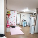 선학 세탁 이미지