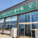 화순점심맛집 꼬막비빔밥 새콤매콤 ; 돈구이바람났네닭이랑