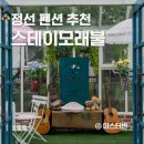 정선스테이 | 정선 펜션 스테이모래불 7년차 단골 추천