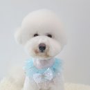 봉천역 3번출구 뒤 이미지