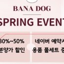 바나개 강아지 고양이 마포점 이미지