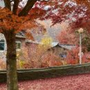 단산갈비 이미지