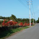 만길농장 이미지