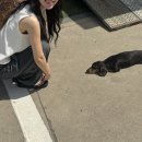 고양이 행복구역 | 사월의 기록 : 춘천 여행
