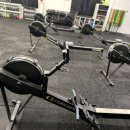 펀치레이디 김포점 이미지