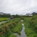 노암1리 진등 이미지