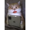더클래식바이호텔원 이미지