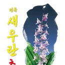 신안센터-10 이미지