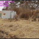 노진5리 경로당 | 화성시 장안면 노진리 258-5 토지(전)경매