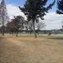 수림지 파크골프장2 이미지