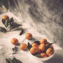 제주린넨 | 제주 감귤 제품사진 촬영 후기 | 신생 브랜드 첫 이미지, 이렇게 만들었어요