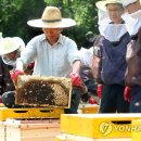 영아유통 이미지
