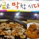 막창시대
