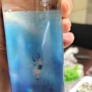 탐라귤향