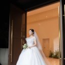 290 | [공지] 본식 스냅 290스냅 계약후기｜짝궁할인코드,가격,구성 총정리