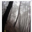 숲길민박 이미지