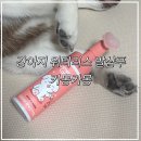 카몽 | 카몽카몽 강아지 워터리스 발샴푸 후기 산책 후 발 관리방법