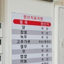 이우철의한식담은 | 아산 삼계탕 맛집, '이우철 한방 누룽지 삼계탕' 내돈내산 후기 :)