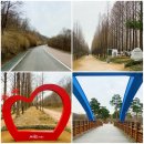 덕양삼거리 건너 | 걷기 일상 - 월드컵공원(대한경제마라톤 코스, 시인의거리)