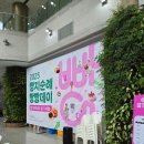 2025 천안 빵지순례 빵빵데이 참여 후기