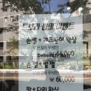 네일드보라 이미지