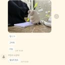 [ 곡성여행 ] 뒤집어지는 촌캉스 , 우리의 우정여행 ♥️