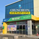 춘천원예농업협동조합 이미지