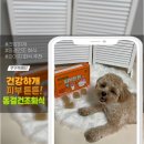 눈물·피부 고민 있는 강아지를 위한 건강하개 피부튼튼 동결건조화식 급여 후기