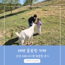 광천목장 이미지